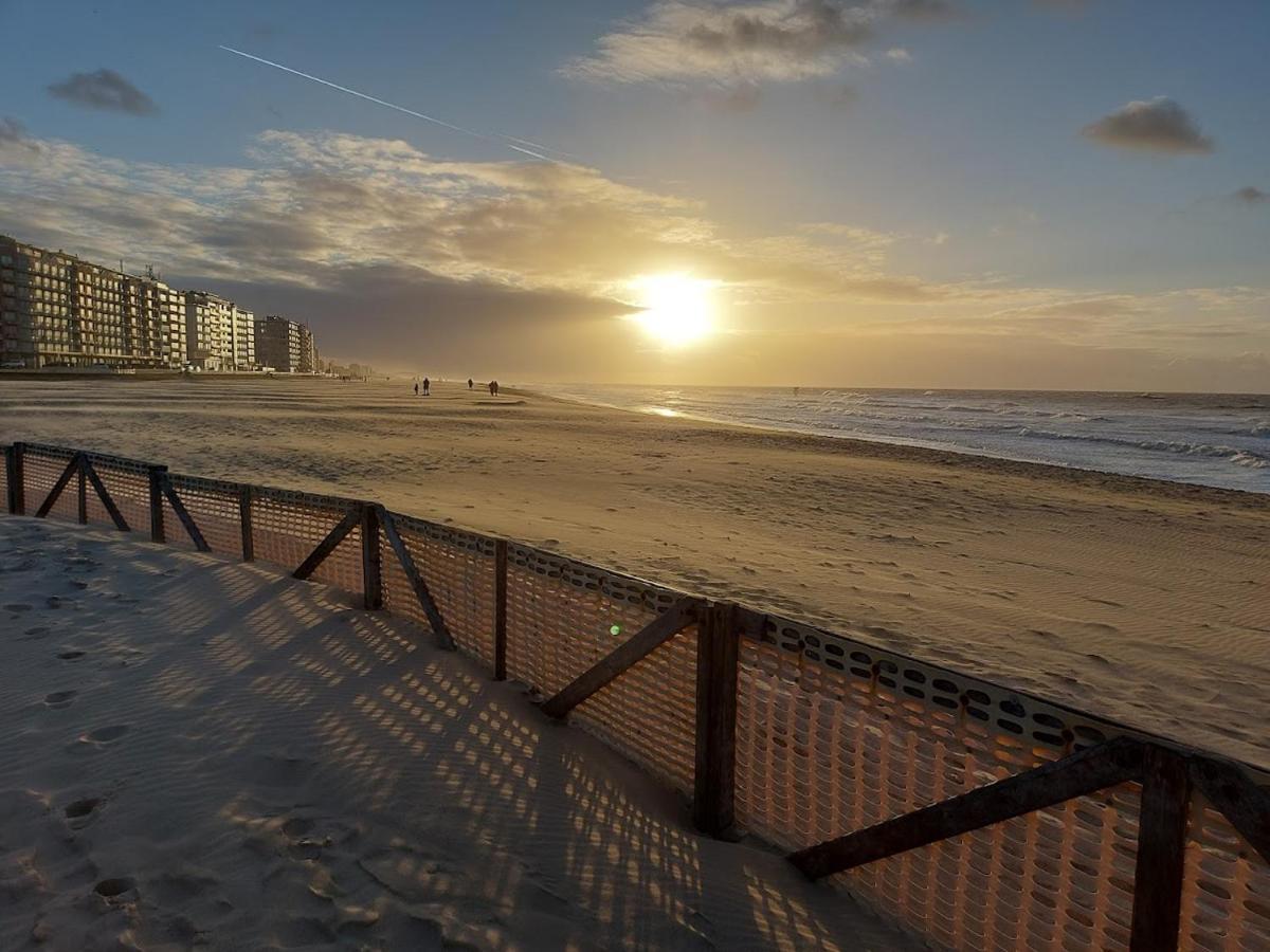 Appartement Met Zeezicht En Verwarmd Zwembad Oostende Eksteriør bilde